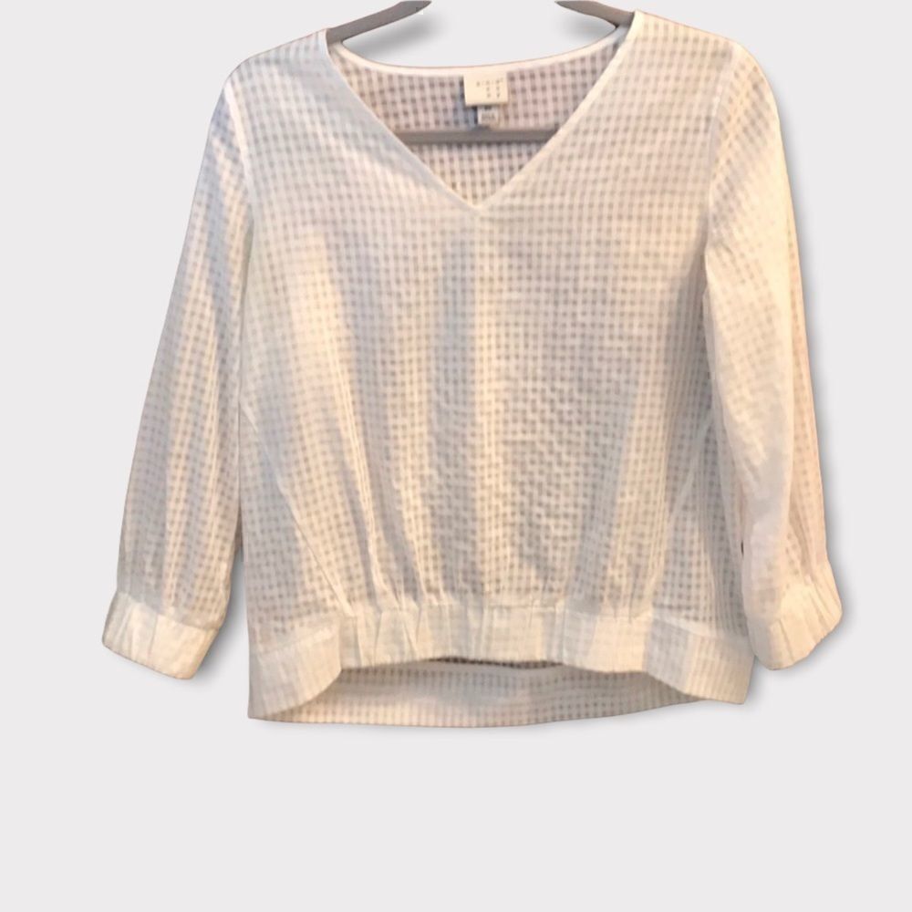 Sheer Gingham Hi-Lo Top  